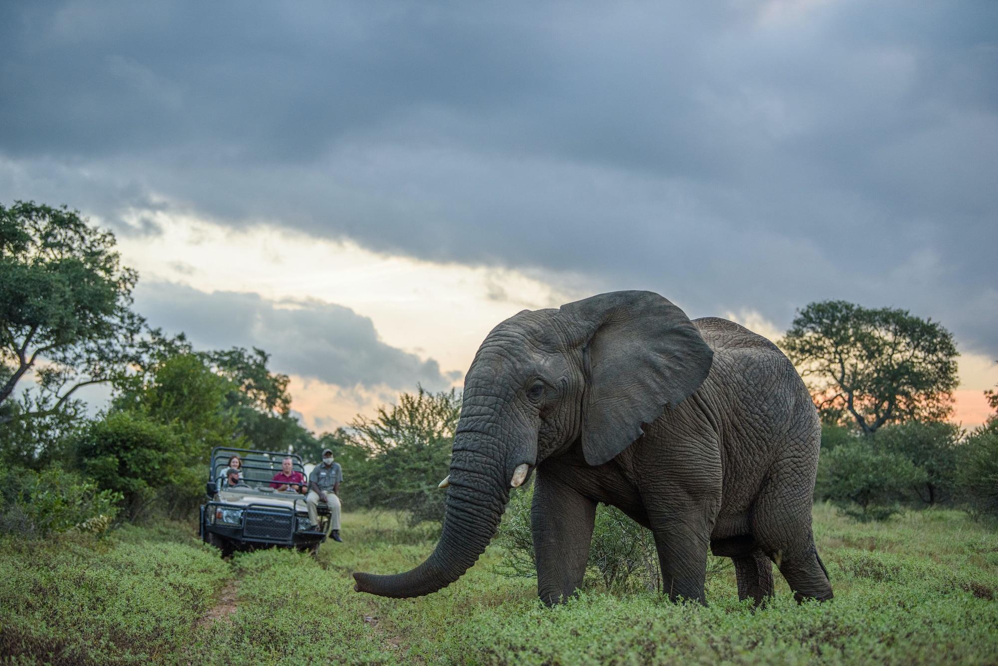 Kapama River Lodge โฮดสปรูท ภายนอก รูปภาพ