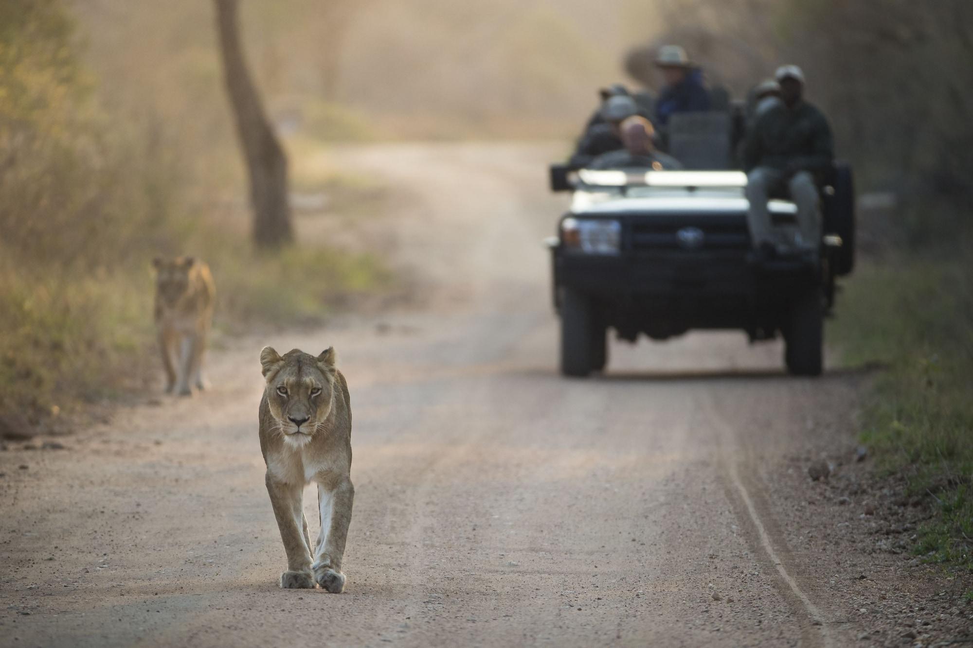 Kapama River Lodge โฮดสปรูท ภายนอก รูปภาพ