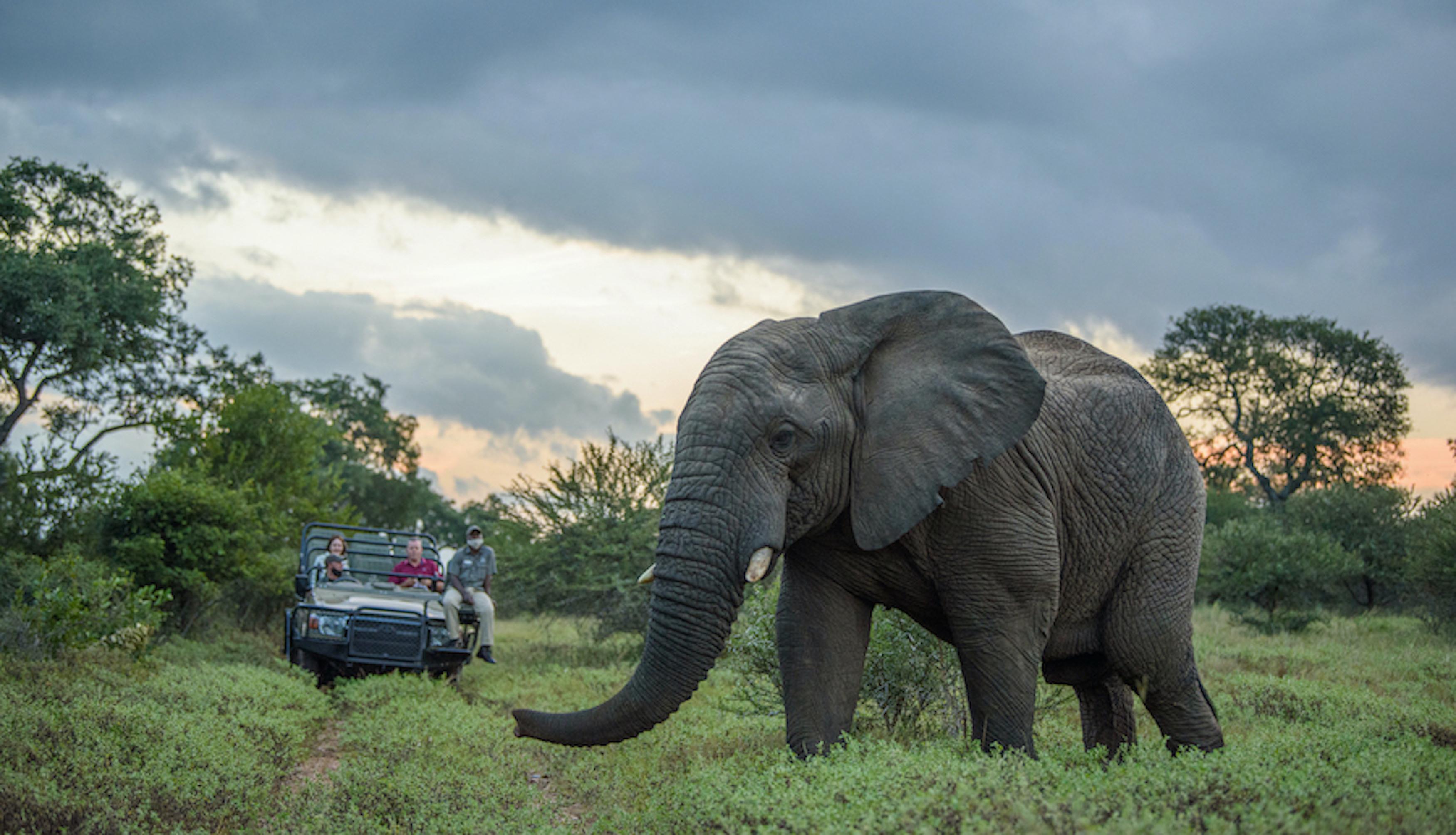 Kapama River Lodge โฮดสปรูท ภายนอก รูปภาพ