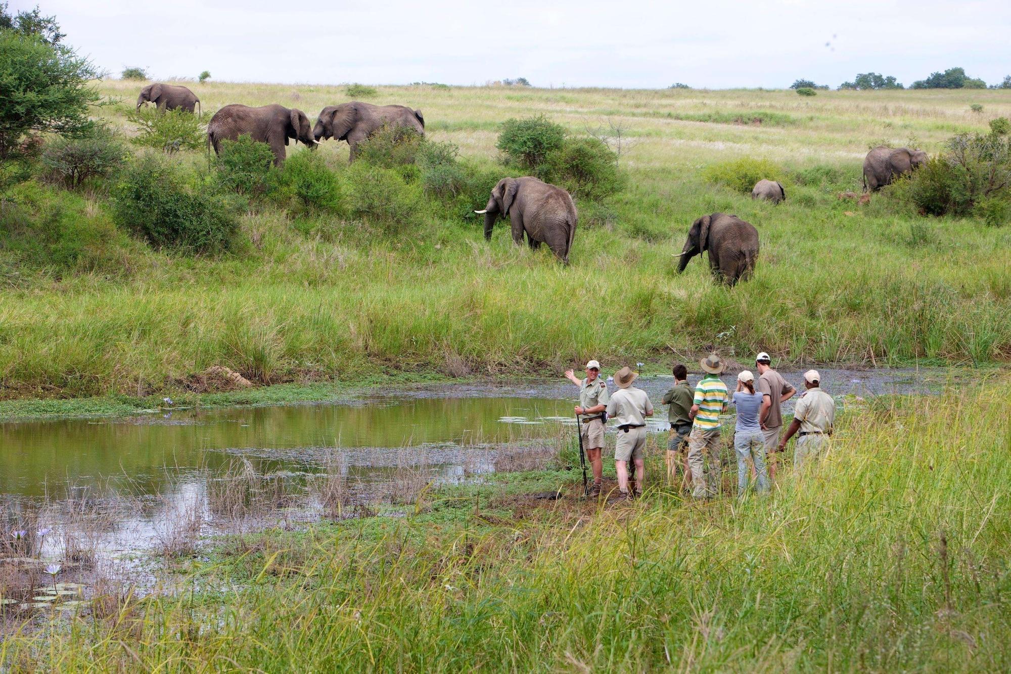 Kapama River Lodge โฮดสปรูท ภายนอก รูปภาพ